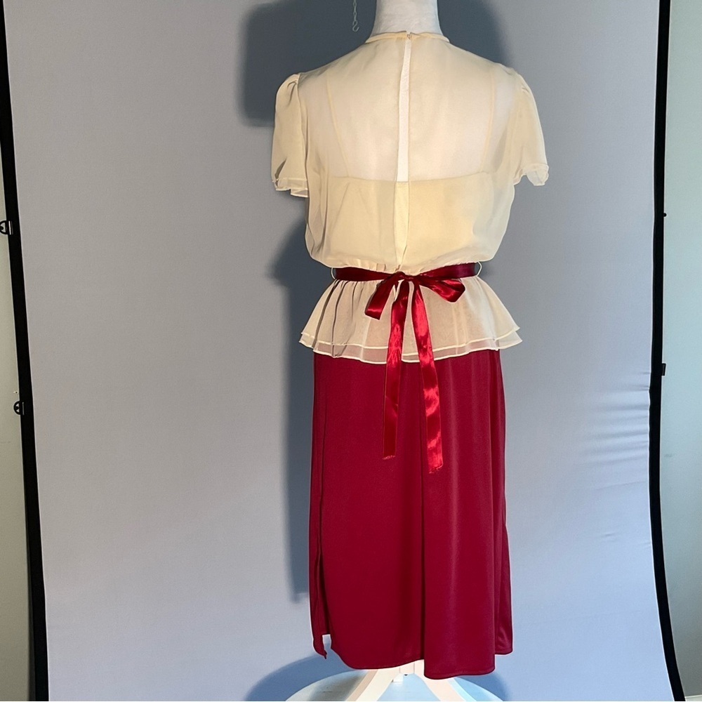 True Vintage 1980s Sheer Embroidered Church Dress with Ribbon Sash - Picture 14 of 16